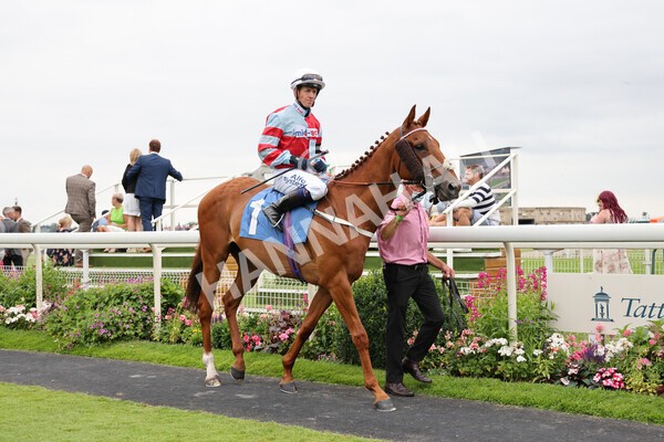 yr24072021r5-33 - Race 5 4.25pm Sky Bet Best Odds Guaranteed Stakes