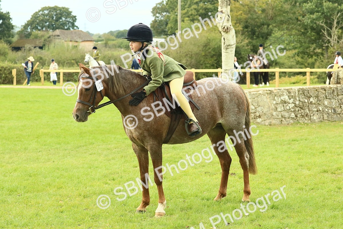 SBM_69963 - S59 - Mountain & Moorland Ridden Small Breeds