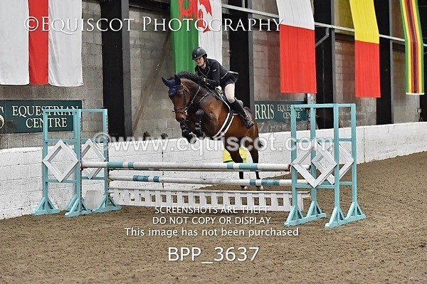 BPP_3637 - FRI CLASS 21 BR NOVICE/90CM