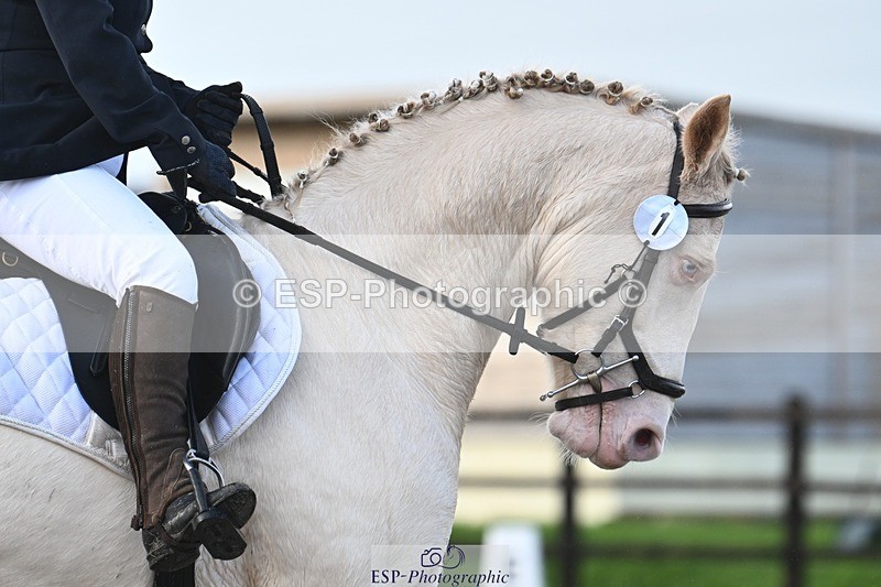 231105-094954-00166 - Cls 1 Intro C