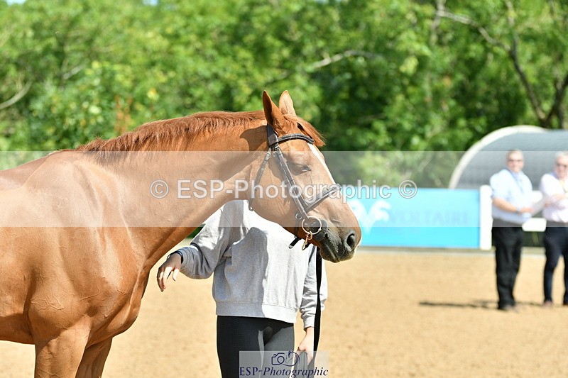 230719A-112236-00006 - Trot Up 11am to 12pm