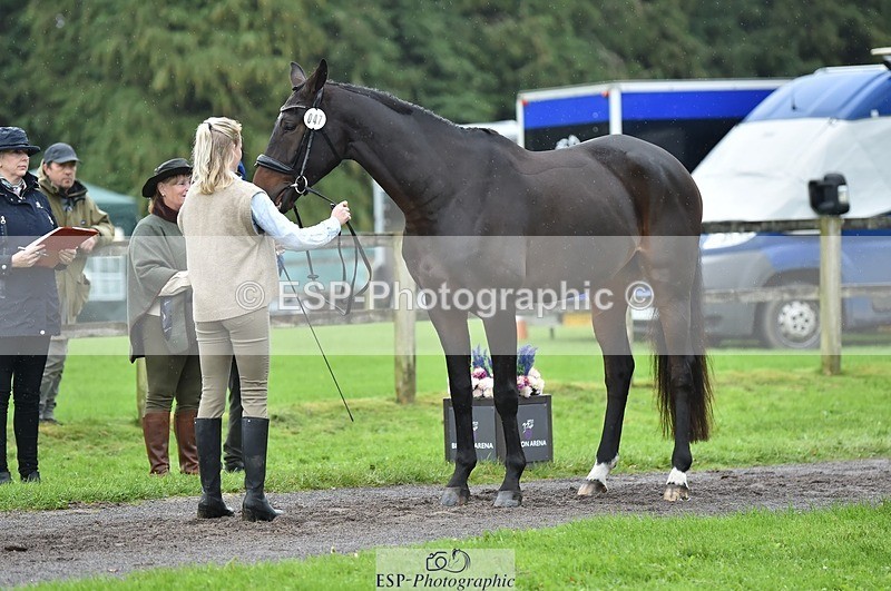 231018-124214-00461 - 047-FIREBALL.III-Oda.Christine.Lippestad-TrotUp