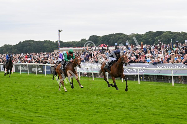 210824-Race 4-City Of Troy-5116 - Race 4 3.35pm Juddmonte International Stakes