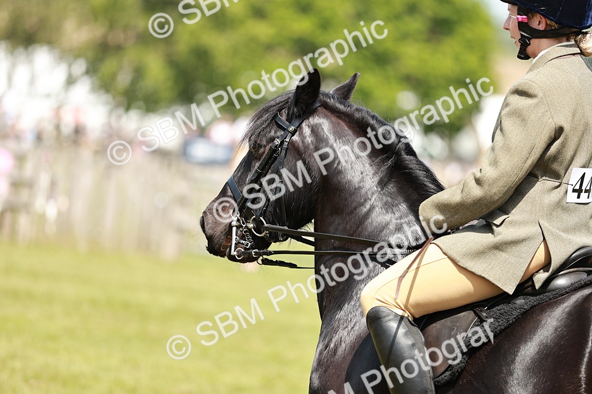 SBM_07132 - Class 26-30 - Mountain and Moorland Ridden