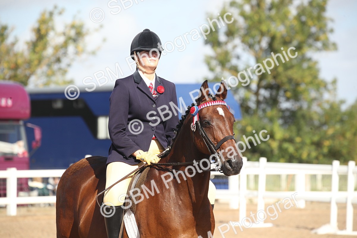 SBM_22842 - Class 602 - 2026 Area - Ridden Veteran