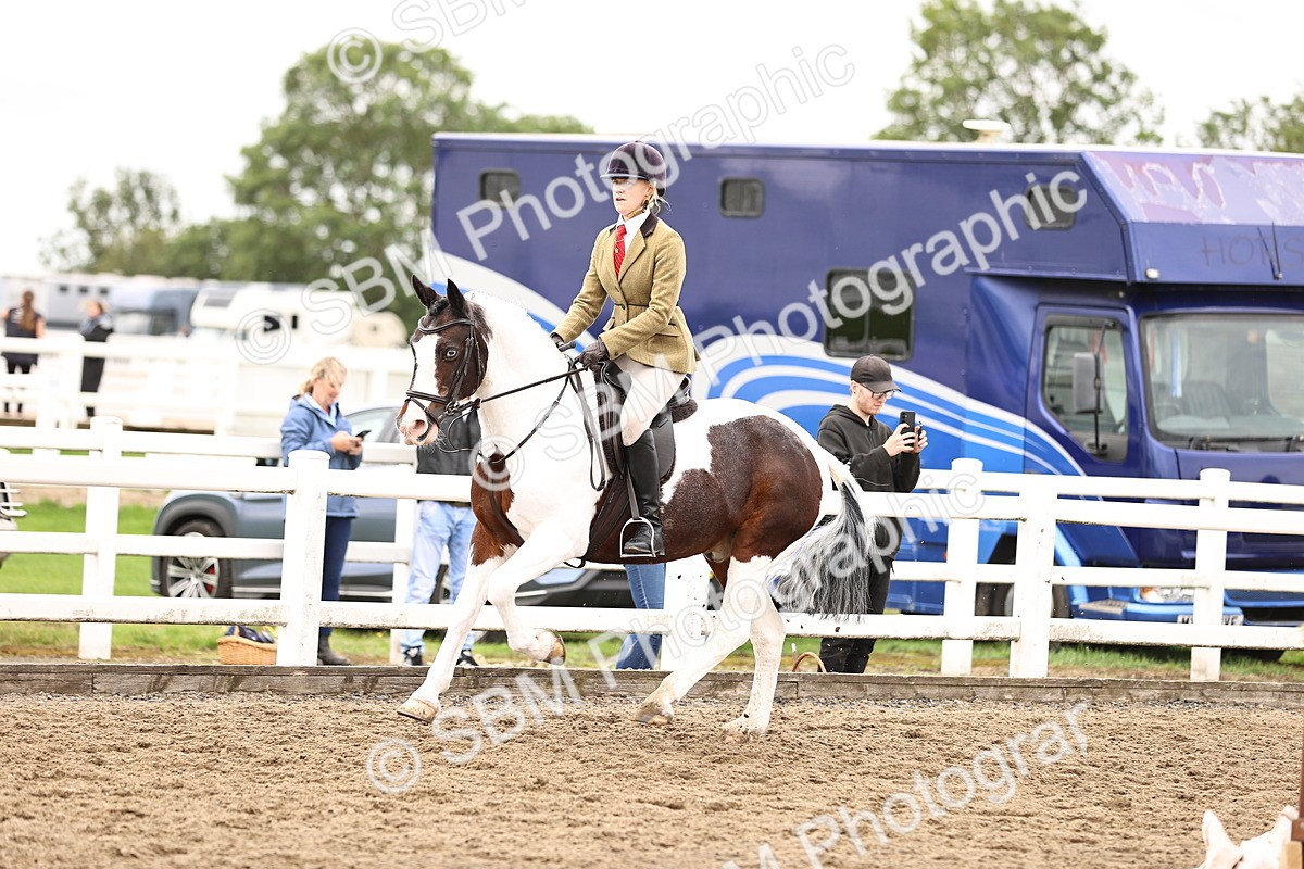 SBM_01378 - Class 54 - Riding Club Horse Pony