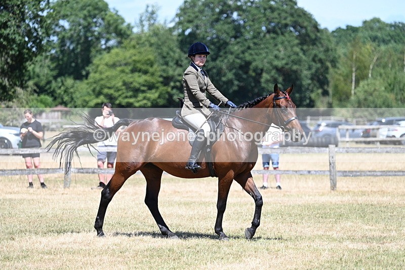 WJ7_3032 - Class 7 Riding Club Show Horse