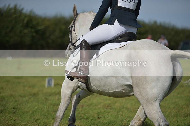 RAY_8134 - Class 2B: Trekenning Open: Dressage