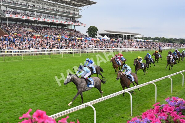 yr19082021r5-21 - Race 5 4.10pm OR8wellness ebfstallions Nursery Handicap