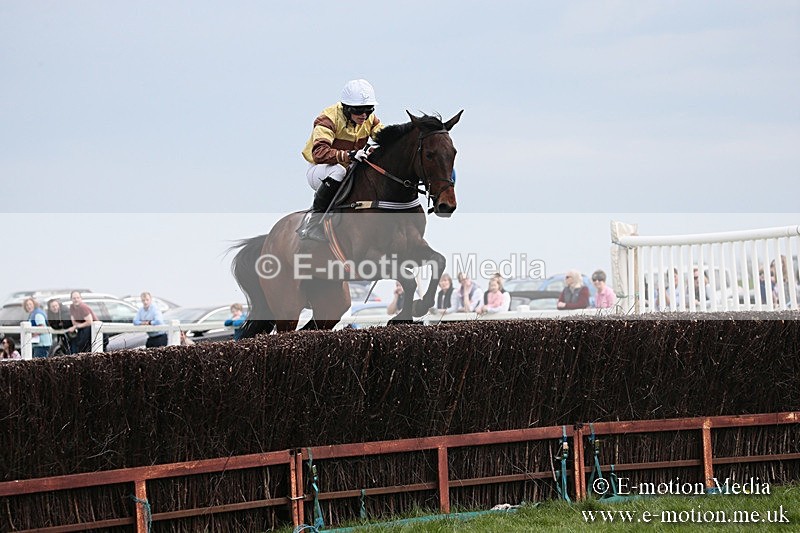 PtP 210418 223 - South & West Wilts Point-to-Point Larkhill 21/04/18
