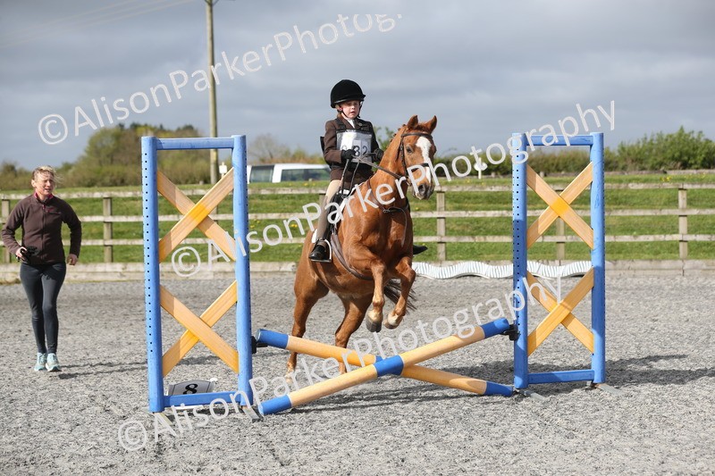 20260412-0091 - Show Jumping