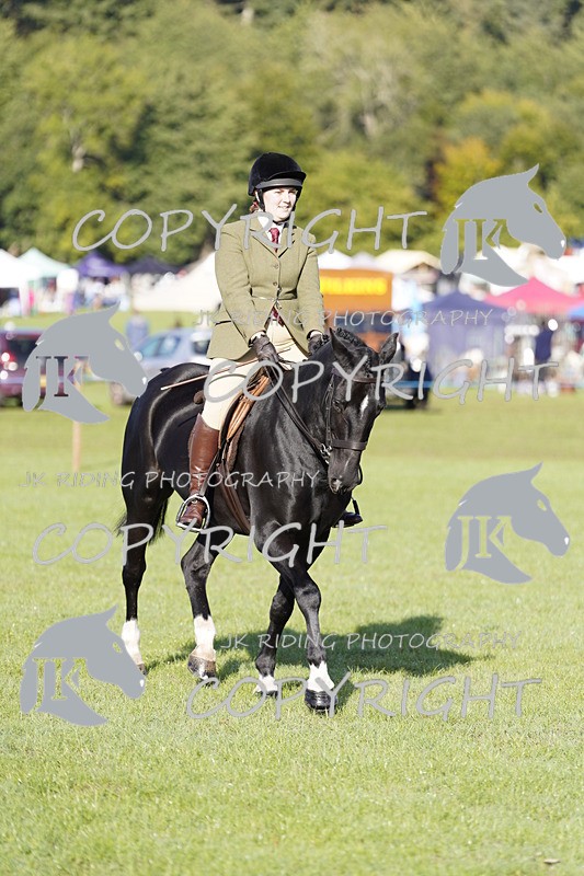 _DSC9444 - Class 8 & 17 Ridden Hunter & Ridden Hunter Pony