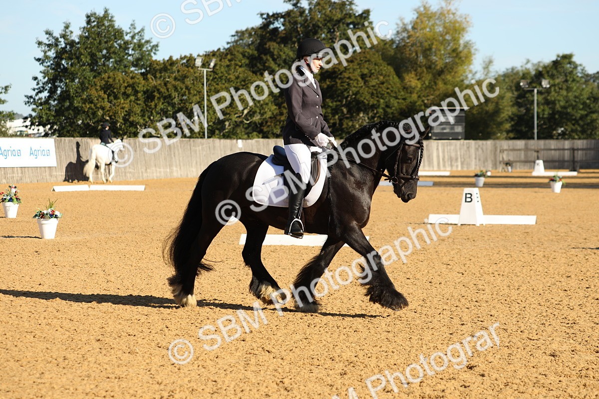 SBM_16410 - D10 - Small Tour Championship - Prelim 2