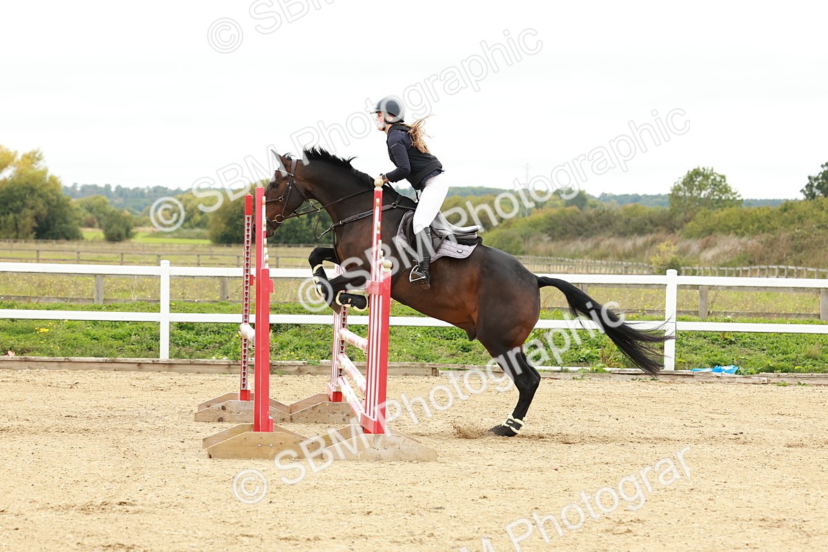 1I0A6999 - Class 2 - Senior British Novice