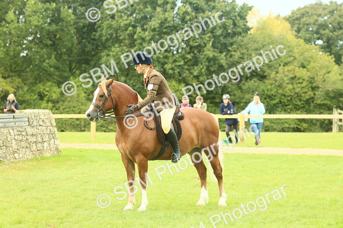 SBM_71972 - S60 - Mountain & Moorland Ridden Large Breeds