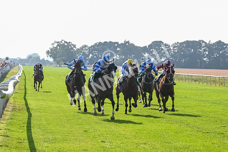 300824-Race 6-Havana Sky-6364 - Race 6