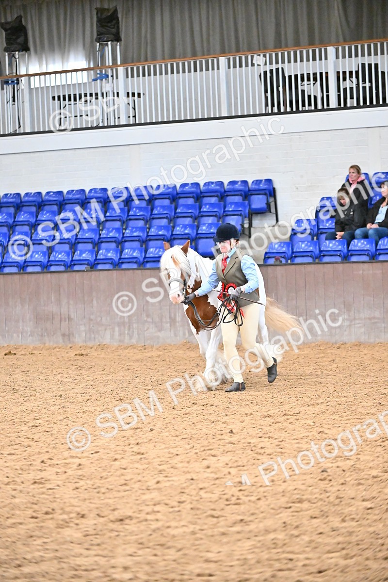 SBM_000785 - Class 16 - In Hand Showing Supreme Championships
