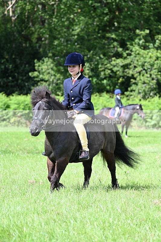 WJ7_1264 - Class 11 Condition & Turnout
