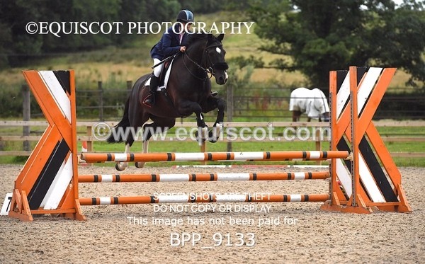 BPP_9133 - CLASS 1 Club/ Unaffiliated 80cms Open