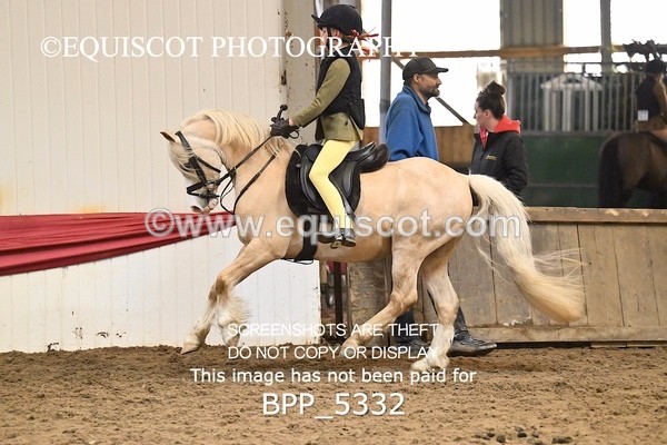 BPP_5332 - CLASS 6 60CM