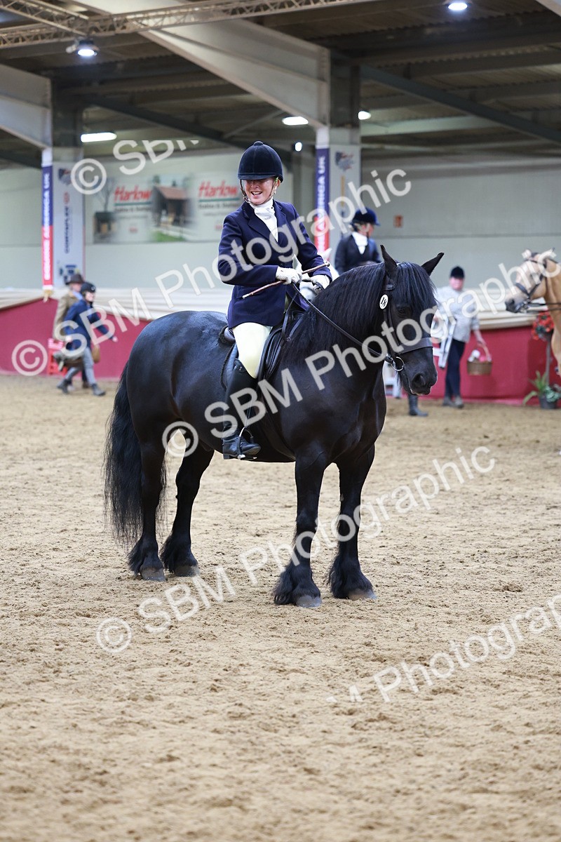 SBM_18772 - Class 952 - M&M Ridden Supreme Final