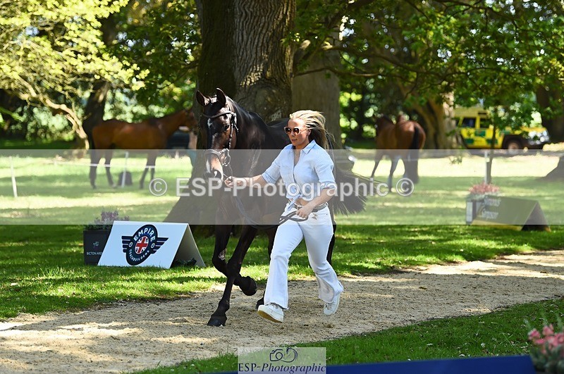 230524-152912-00298 - 351-TRINITY_CAVALIER-Henrietta_Horsley-gubbins-WEDTrotUp+DR