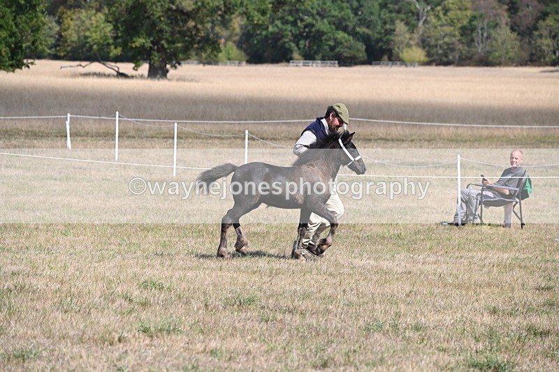 WJ6_5129 - Class 17 Mountain & Moorland
