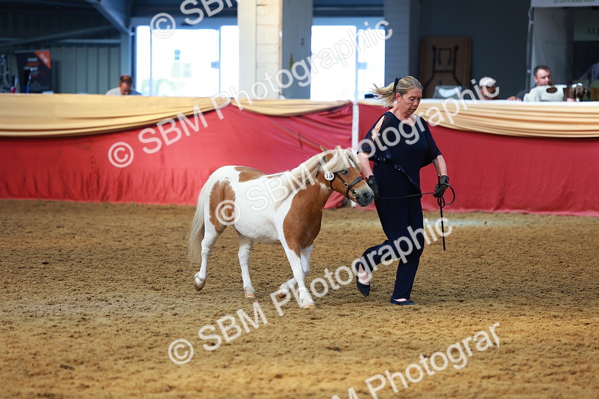 SBM_18504 - Class 903 - Sup Final - IH Pre Vet