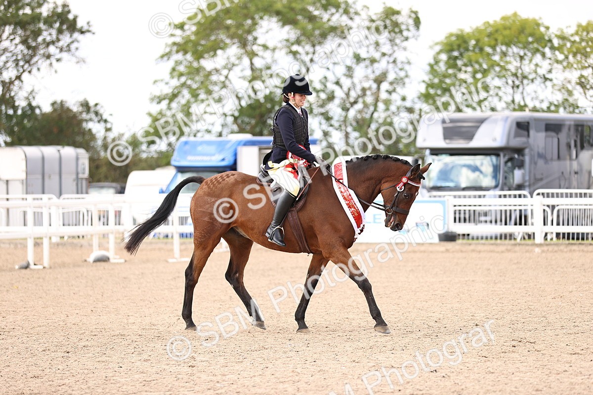SBM_11696 - Class 408 - Grassroots Ridden - Walk & Trot