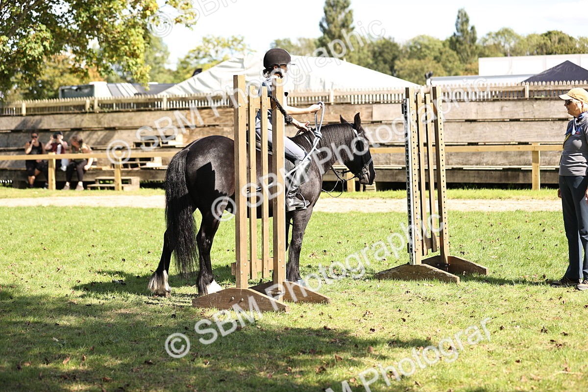 SBM_23027 - S4 - Have a Go at Working Equitation