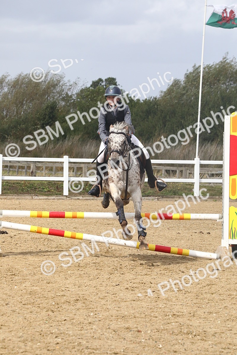 SBM_006537 - Class 6 - 60cm Champs