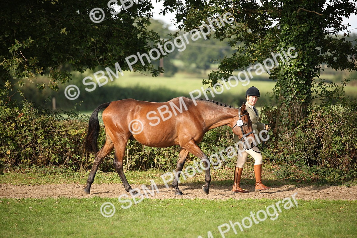 SBM_60049 - S53 - Hunter In Hand