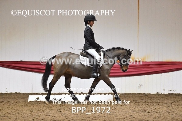 BPP_1972 - PRELIM TEST 1