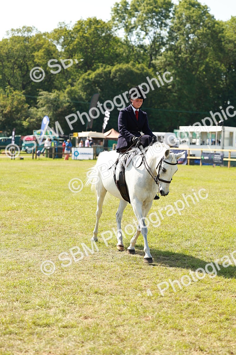 SBM_13181 - Class 70-71 - Side Saddle