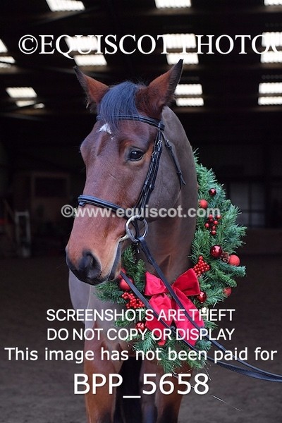 BPP_5658 - Imogen Gray