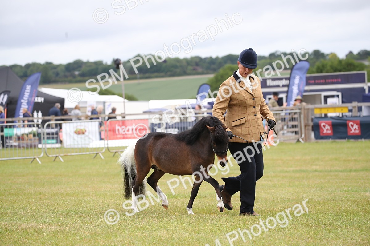 SBM_03790 - Class 23-25 - British Miniature Horse of the Year