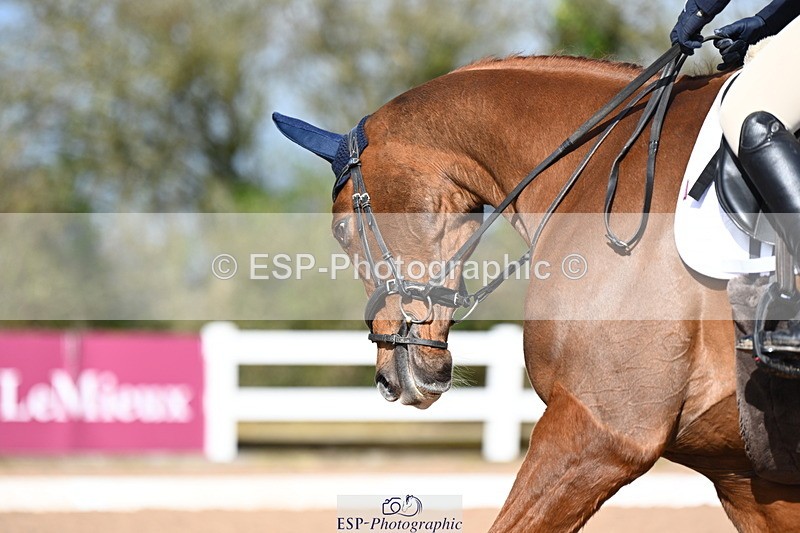 240323A-095538-01038 - MyQuest Prelim 12