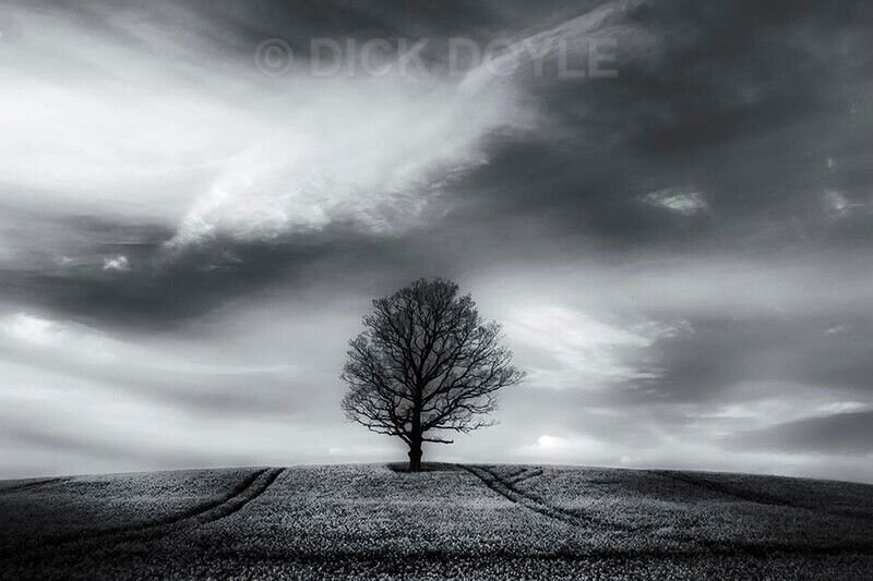 Last light on the hillside - Minimalist landscapes