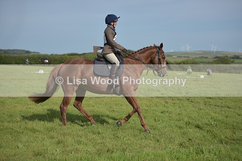 RAY_7870 - Class 2B: Trekenning Open: Dressage
