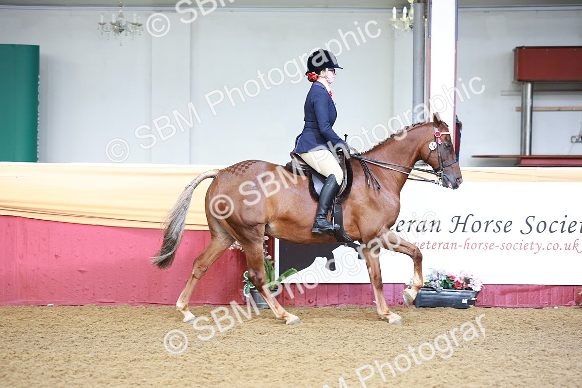 SBM_11819 - Class 102 - Equitation (Best Rider) Adult