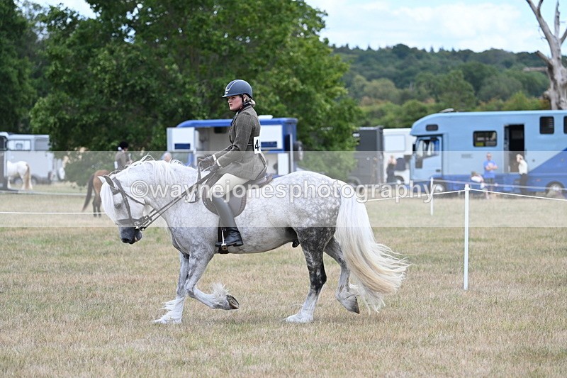 WJ7_4955 - Class 12 Ridden Cob