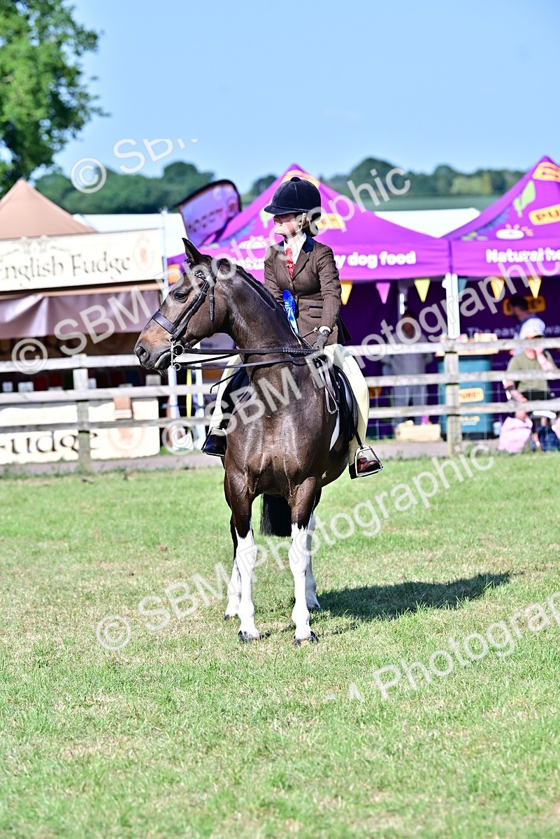 SBM_19541 - Class 101-102 - BSPS LIHS Performance Coloured Horse/Pony