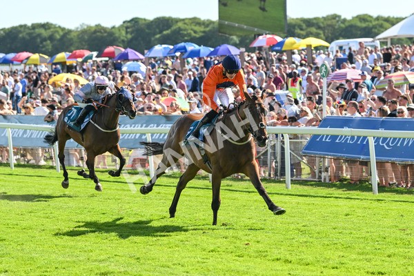 120725-Race 6-Terrorise-6102 - Race 6 4.45pm John Smith's Stayers' Handicap