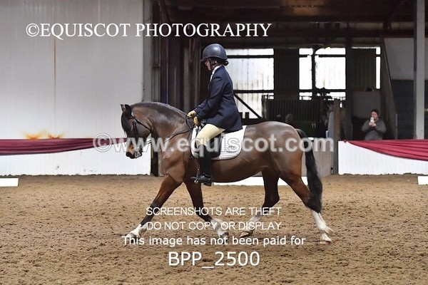 BPP_2500 - 31 - E CLARKSTON