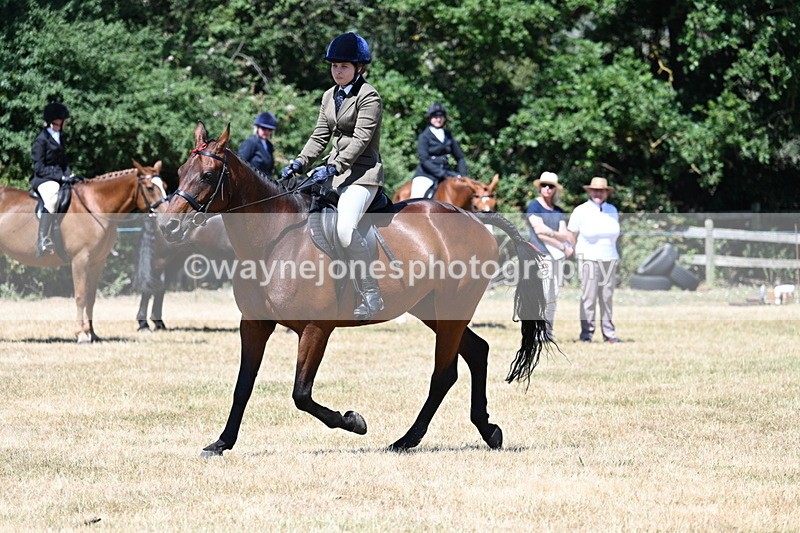 WJ7_3069 - Class 7 Riding Club Show Horse