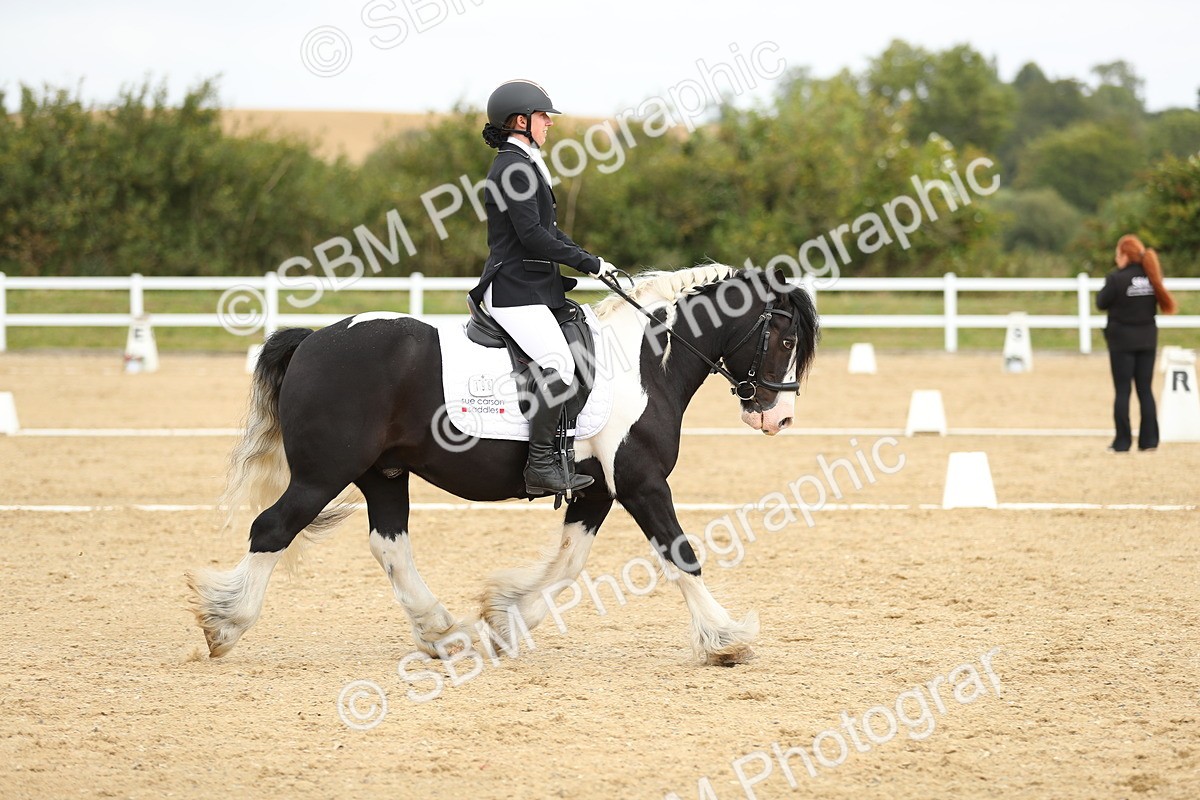 SBM_016441 - Class 13 - Novice 23 - 11.25-12.35