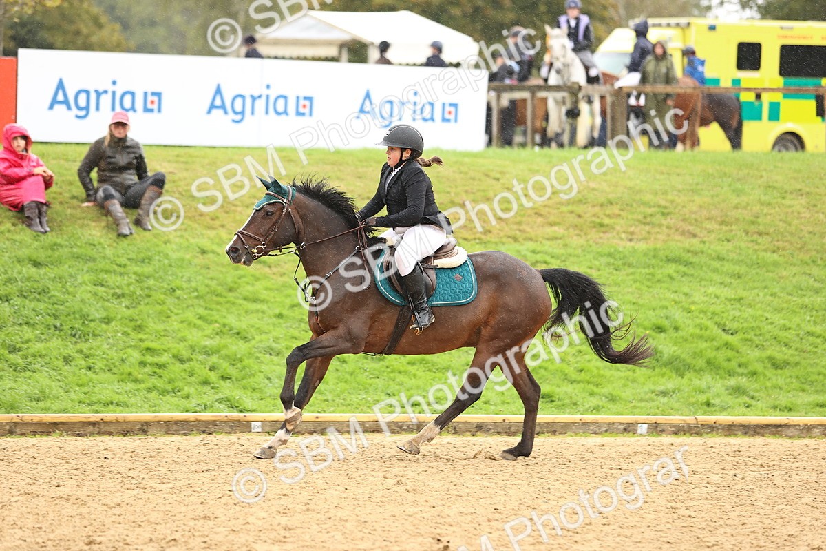 SBM_69922 - Supreme Championship 80cm 85cm