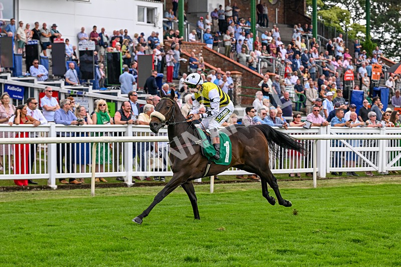 010726-Race 2-Arapaho Gold-7778 - Race 2 13.38pm British EBF Restricted Novice Stakes (Div II)
