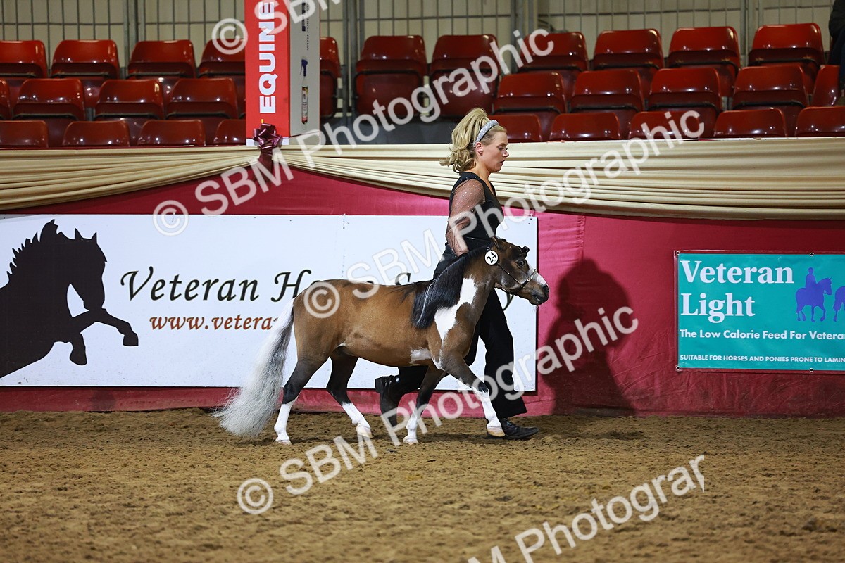 SBM_15508 - Class R - Veteran Champ