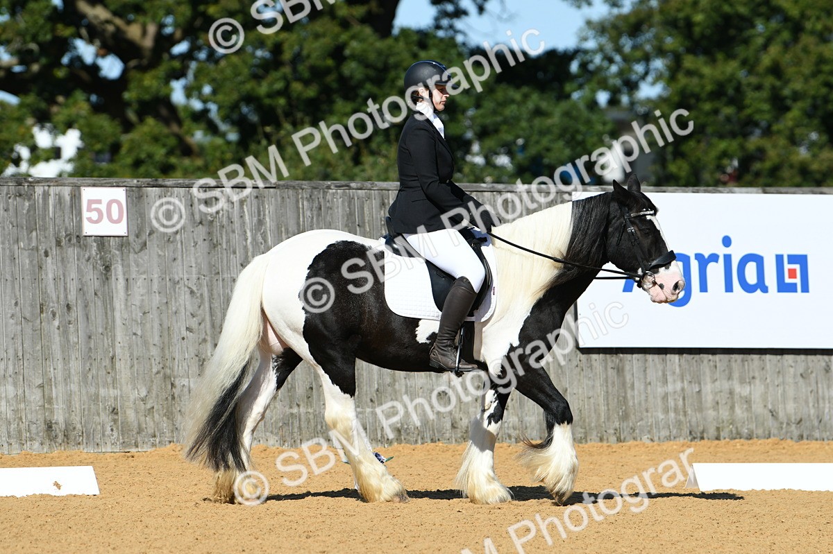 SBM_18220 - D4 - Small Tour Championship - Intro B